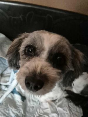 581160418 10241297563522301 8832609057300072291 n