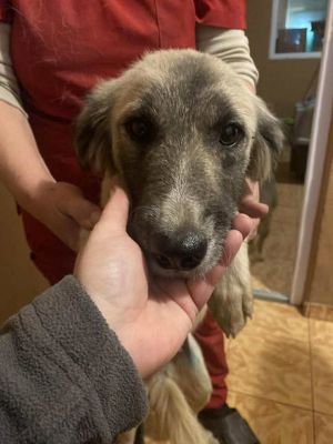 581248465 25244928391814416 5066430364853147016 n