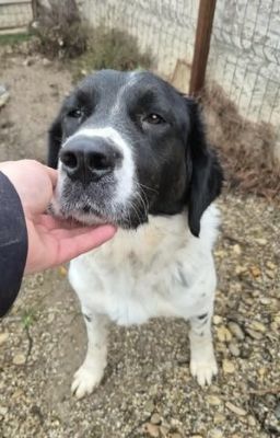 581273751 25165931163047473 403234406977391701 n