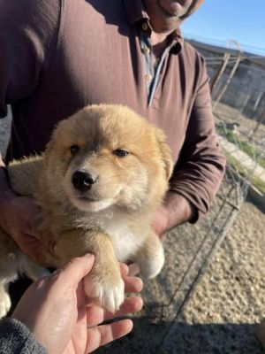 581426163 25175158695458053 3312804249753852766 n