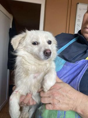 581539539 25202660876041168 5515751363415125828 n