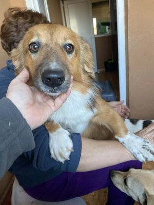 581539550 25202868426020413 6232402480498099412 n