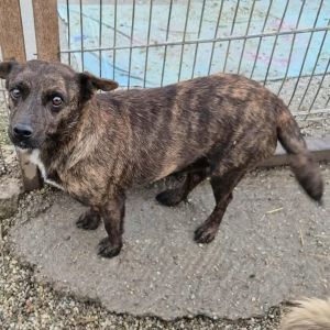 581539792 25245765001730755 7022601029241859719 n