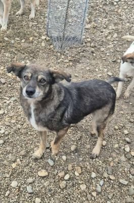 581667895 25174936648813591 5489890960875904768 n