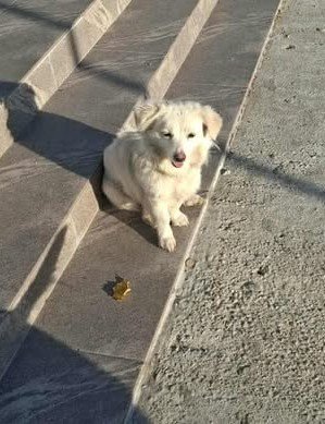 581710830 25202661259374463 6615063019148073084 n