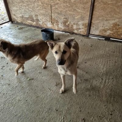 581790990 25175038275470095 9136248594783018431 n