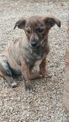 581815030 1496405125000154 8932625376627811926 n