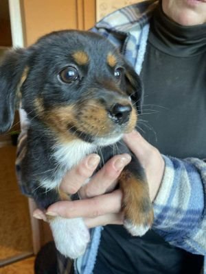 581843303 832334123010999 7238148774954120604 n