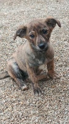 581852687 1370211341482734 1177129528003262074 n