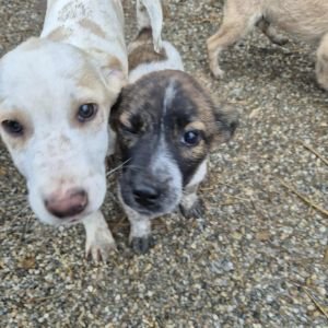 581891869 1361071492314708 3864895376031904789 n