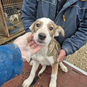 581913586 1513673236536422 7321134776341272059 n