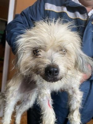 581925308 1523999778727270 8710701727474954352 n