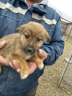 581926567 841526095048254 1096894359467455098 n