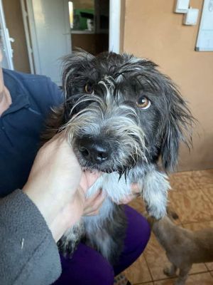 581926894 25202949159345673 638235141107455032 n