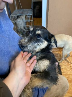 581947507 25245397605100828 791751015900077885 n