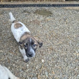 581964129 2245729195908105 6624519140702063592 n