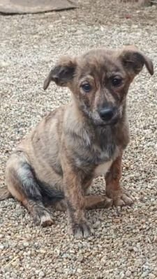 581964814 846297128088787 4832408354736427192 n