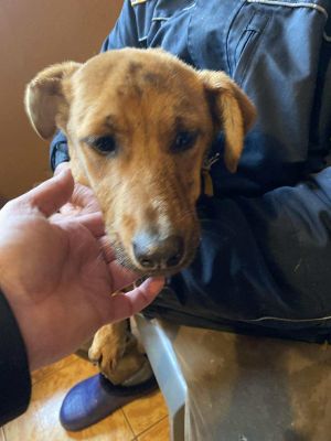 581971274 1547345560051193 1012765867016474131 n