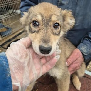 581972627 2096084954557608 1749572938110769089 n