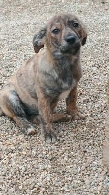 581976473 1246155397532467 8724893813774328539 n