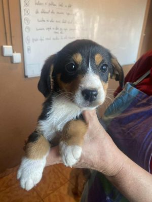 581997536 1209231271253477 6378321349844448585 n