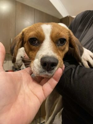 581997634 1357811302564681 1561238869178535850 n