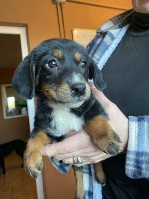 582002956 1390581692641045 1648176580921224095 n