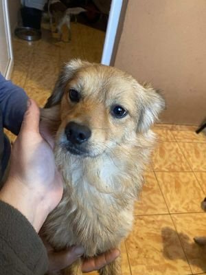 582004775 811113708359531 2429217847731405401 n