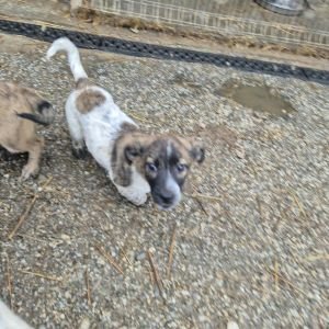 582008828 1999903244165624 2791124478231635707 n