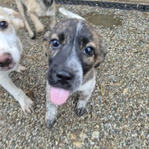 582014562 24842491348726252 7960613320877675096 n