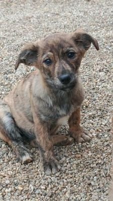 582025180 1190536339628695 5969947934403484674 n