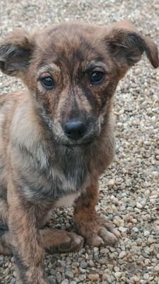 582037956 25507045358919772 2109352807152366309 n