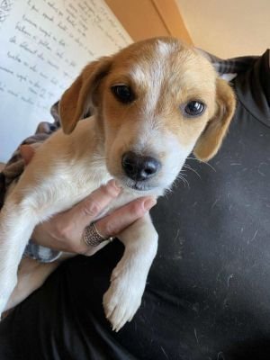 582039997 1137706591767146 3066655653189625373 n