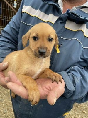 582040001 24333866879619987 8513402774478236503 n