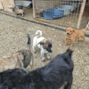 582045039 1550137252684785 1584571500171239035 n