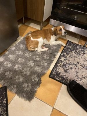 582048437 1555218072491208 265623507576735279 n