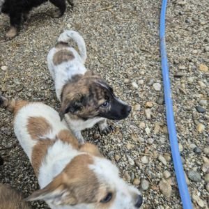 582051368 808449971960569 3791144660989084355 n