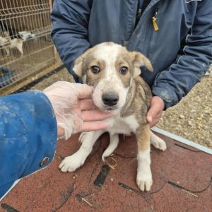 582055451 893572046569851 5697055956057391012 n