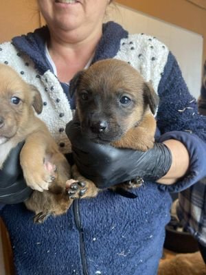 582056841 1497937254770952 6946740452811066719 n