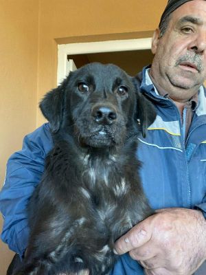 582061312 656061450775933 5733095721993484406 n