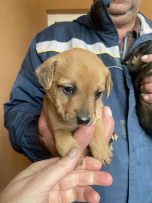 582084997 2032413790912697 3115566301464010289 n