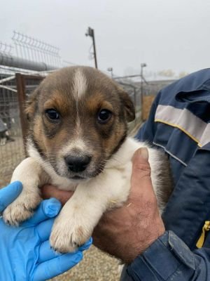 582099405 691826230651153 3512608398483985436 n