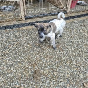 582109244 2031612227593151 5528021846381737757 n