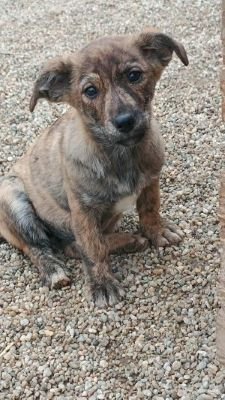 582194492 25801700269416470 7309238877177109928 n