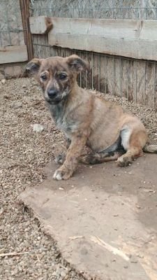 582197249 1727729014565135 4684426170138177876 n