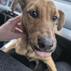 582197252 1821813888450262 3422934328721562858 n