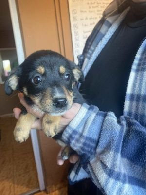 582204749 1374002091057234 6783504185413731394 n