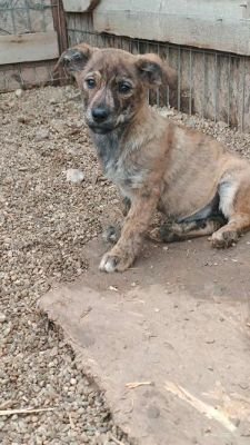 582210333 1178536297121858 16176837276668062 n