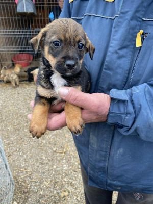 582224264 2537886749945647 2661060833364436636 n