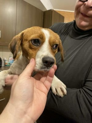 582234185 1395320895523399 3349573161896014906 n